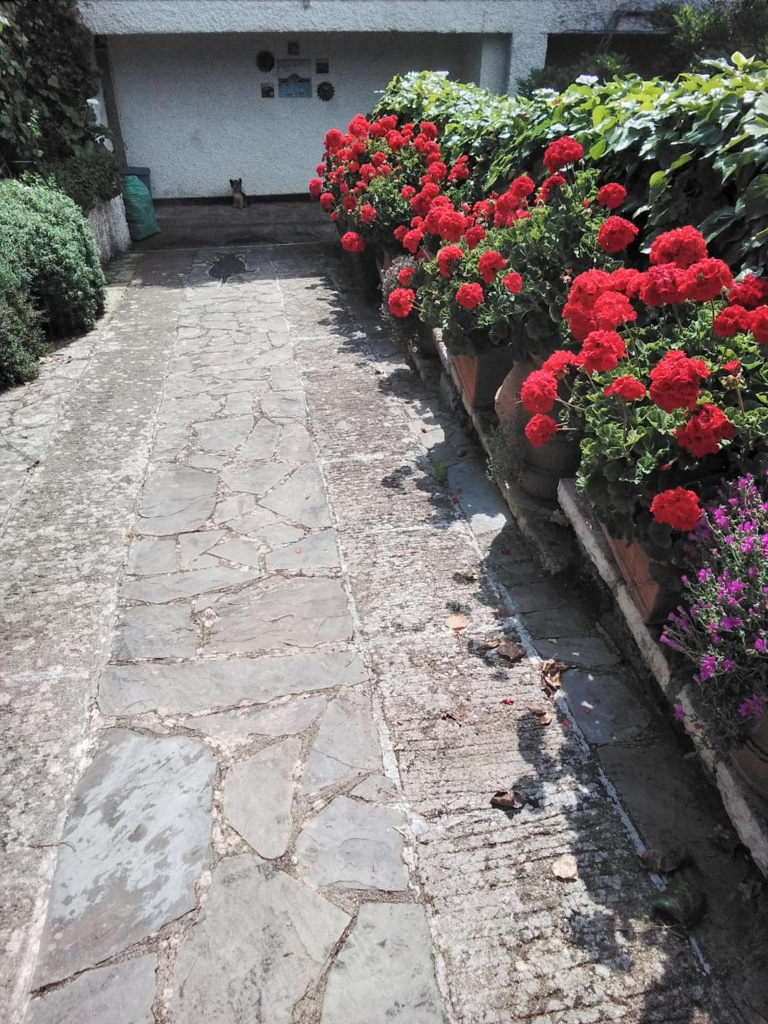 Villa Mimosa Splendida Vista Mare Bonassola Dış mekan fotoğraf